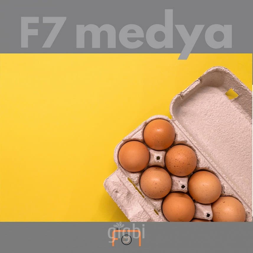F7 M. — çalışma 4