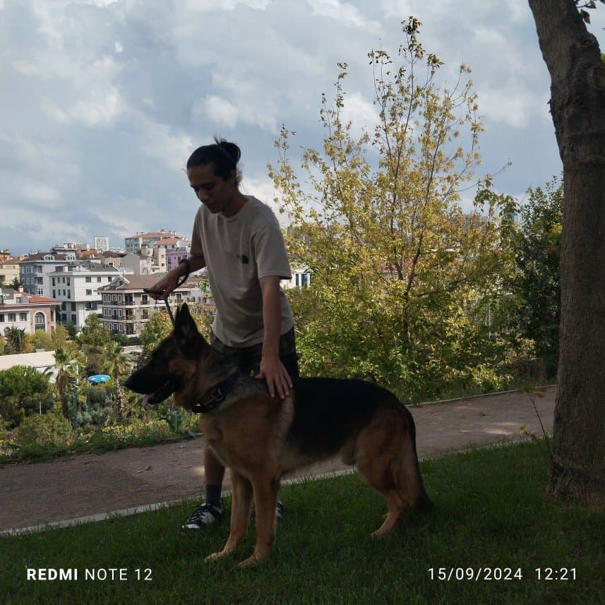 Fatih E. — çalışma 8
