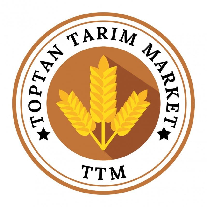 Fatihan Y. — çalışma 6