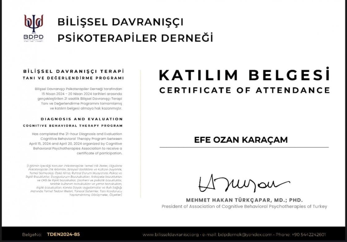 Efe K. — çalışma 2