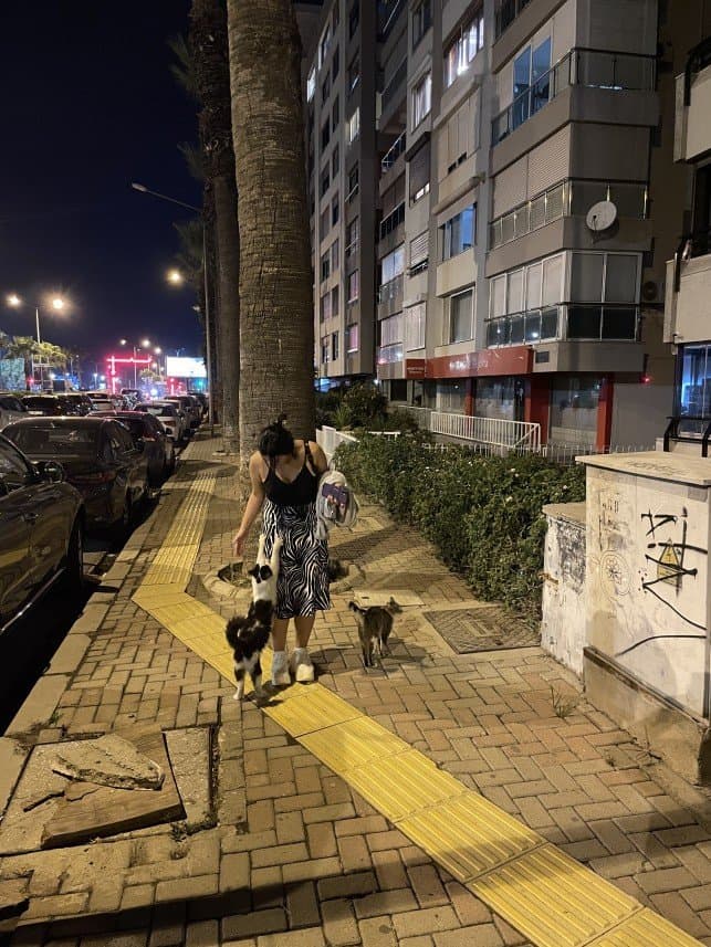 Fatoş D. — çalışma 3