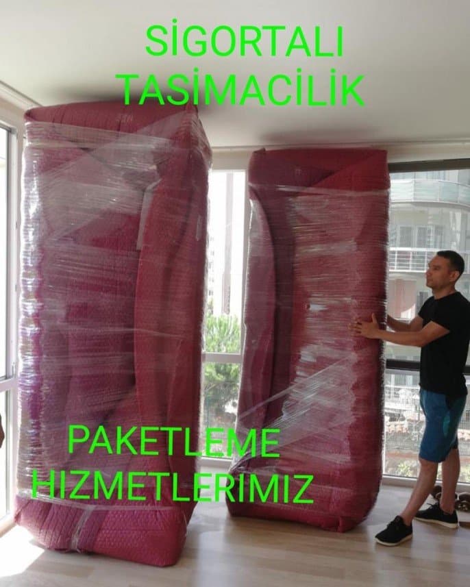 Fermanoğlu N. — çalışma 5