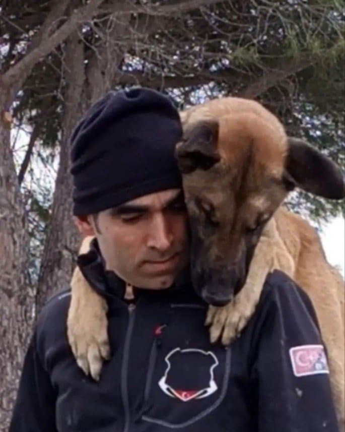 Fırat B. — çalışma 1