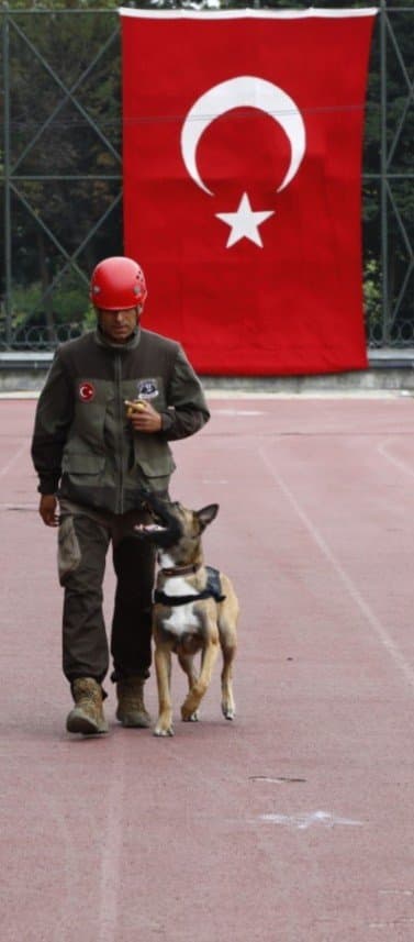 Fırat B. — çalışma 5