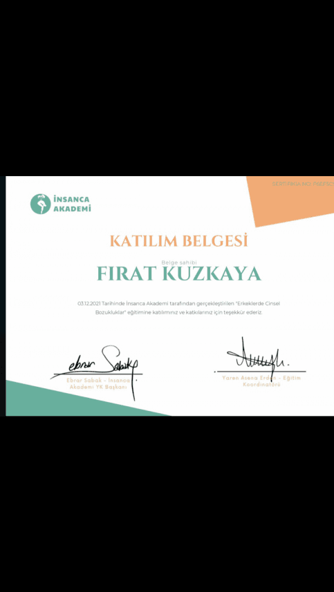 Fırat K. — çalışma 2