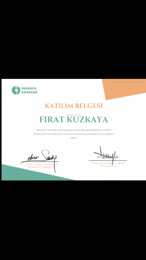 Fırat K. — çalışma 3