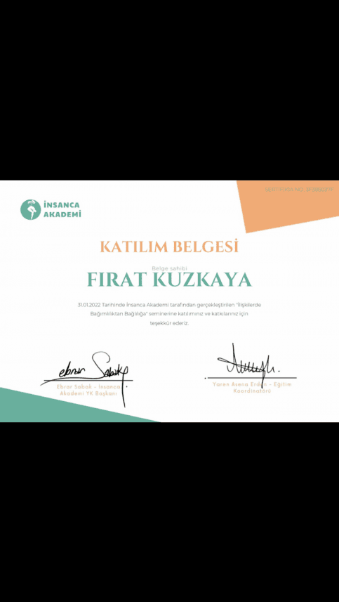 Fırat K. — çalışma 5