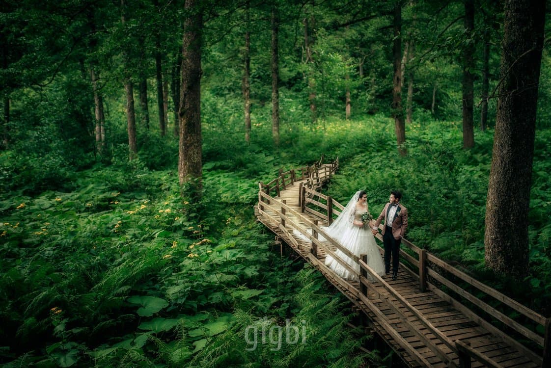 Foto D. — çalışma 1