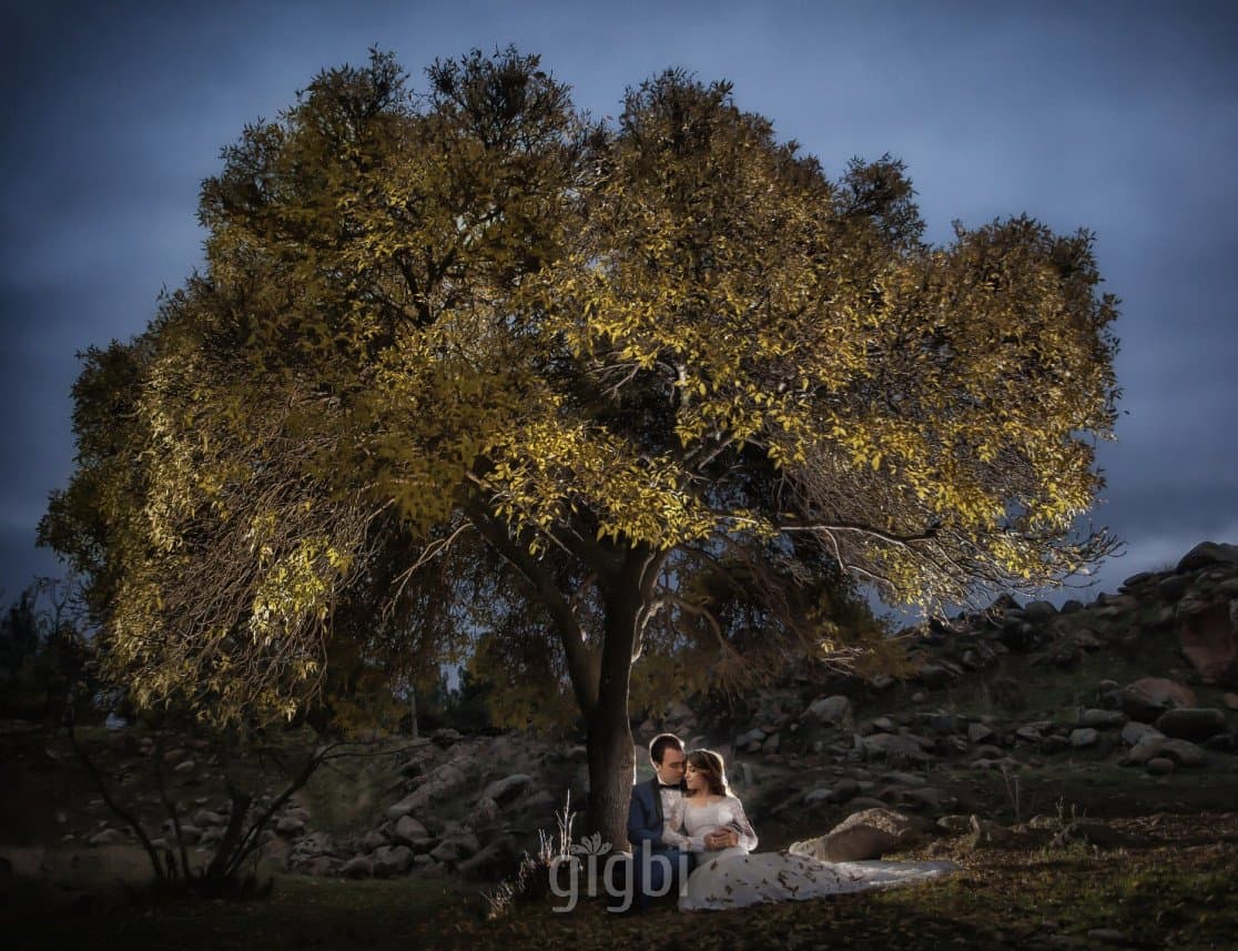Foto N. — çalışma 2