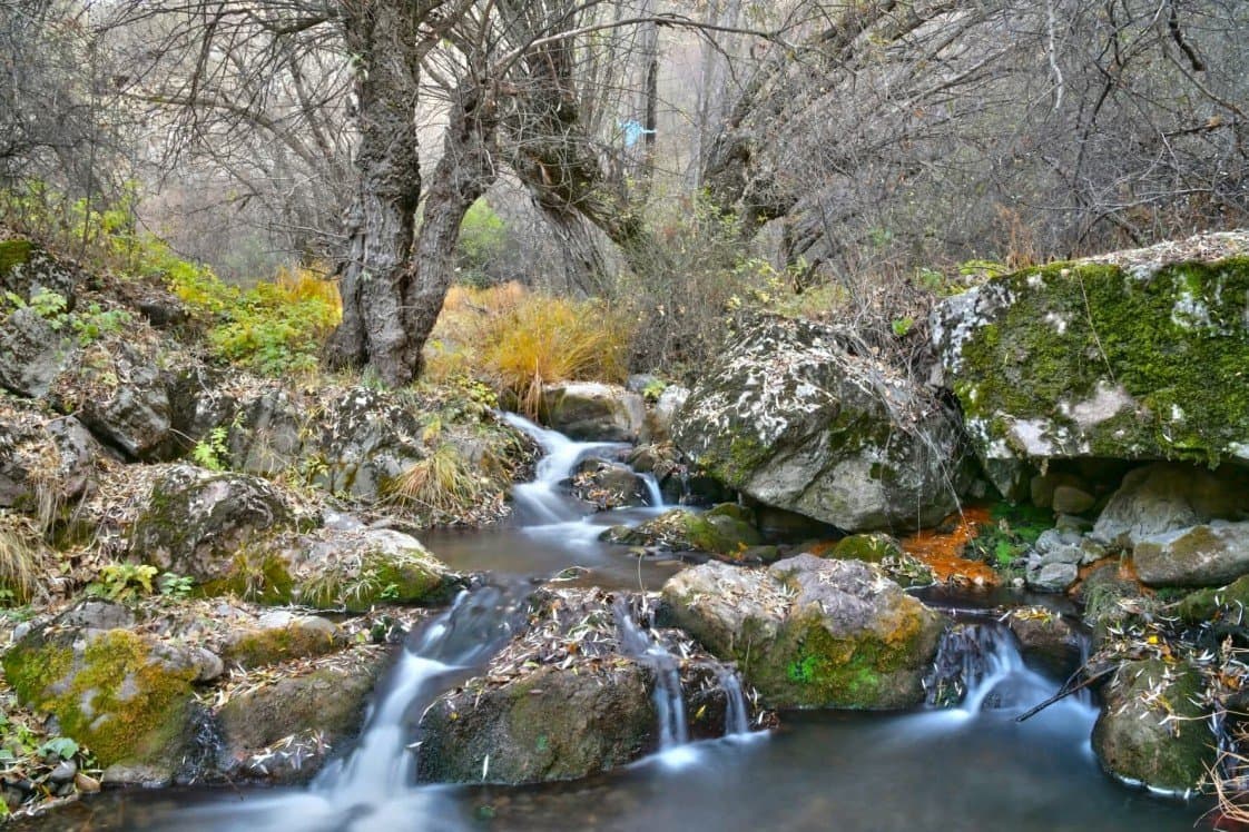 Fatih D. — çalışma 5