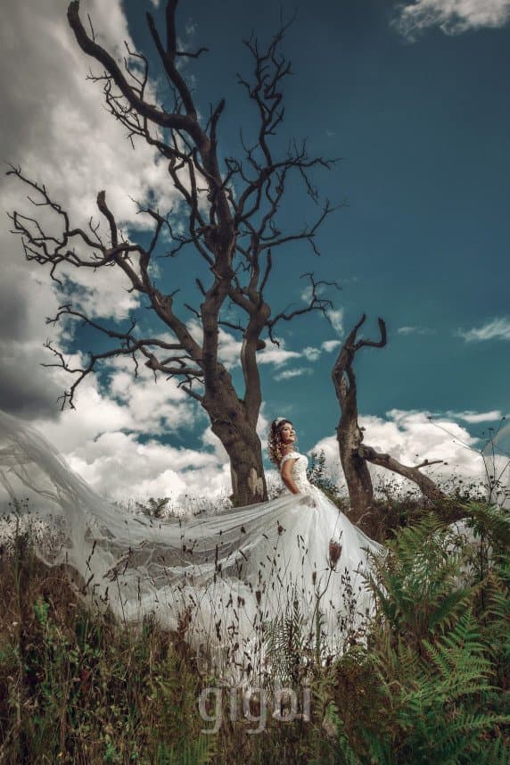 Fotosentez_murat Y. — çalışma 1