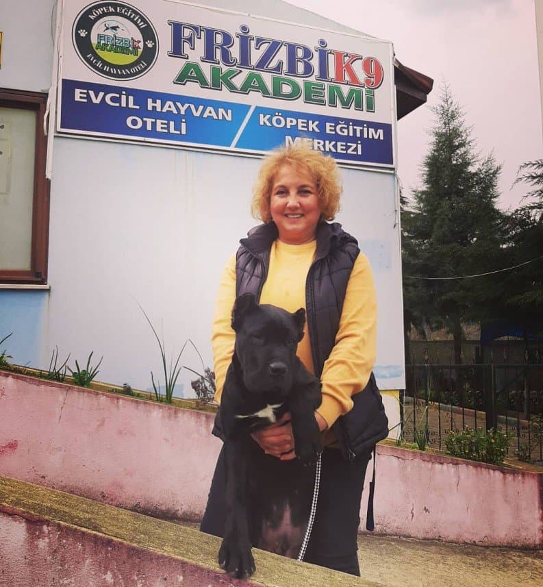 FrizbiK9 A. — çalışma 5