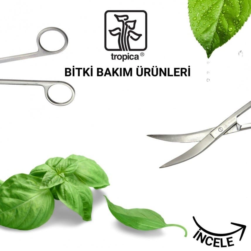 Fulden A. — çalışma 6