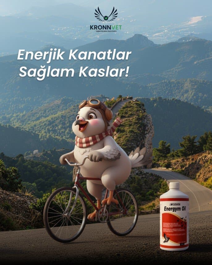 Fulya G. — çalışma 1