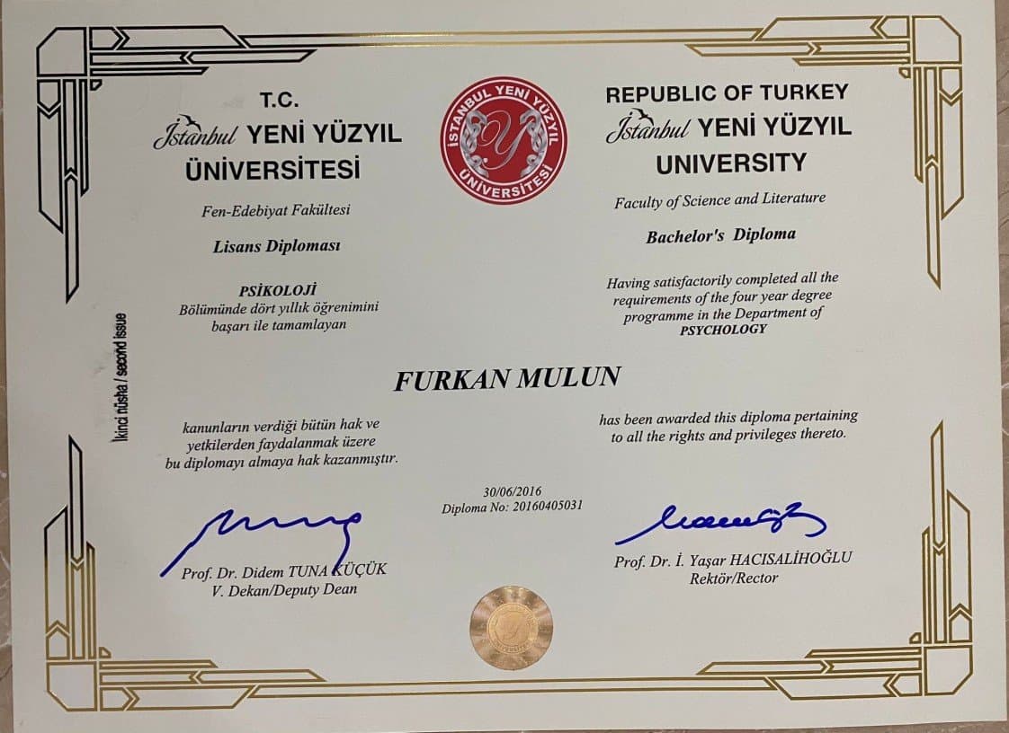 Furkan M. — çalışma 2