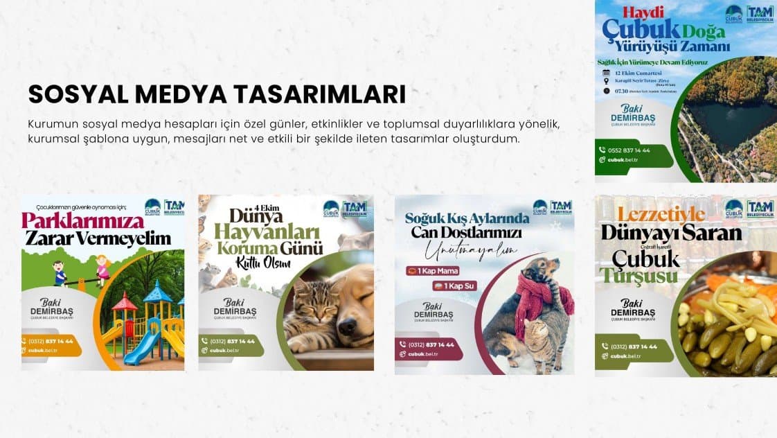 Gizem E. — çalışma 4