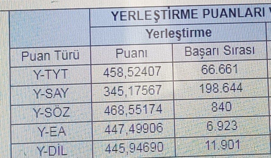 Gizem Ö. — çalışma 1