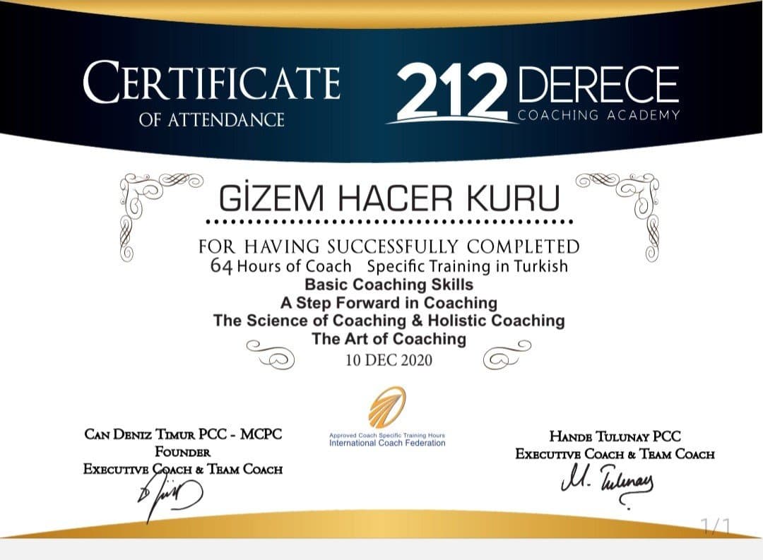 Gizem K. — çalışma 1