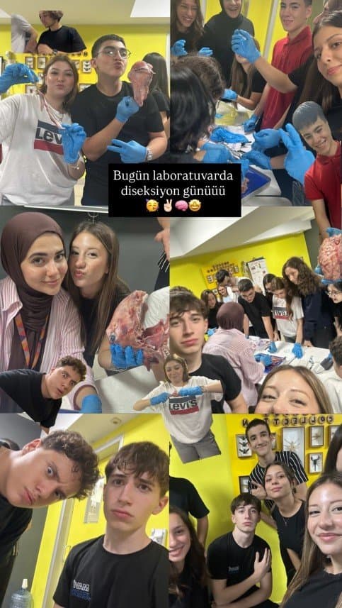Gizem T. — çalışma 2