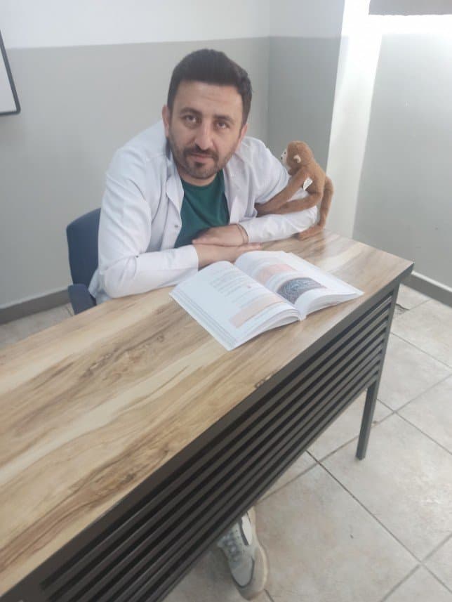Gokcan D. — çalışma 2