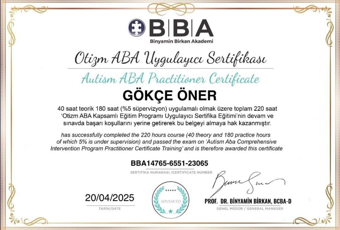 Gökçe Ö. — çalışma 2