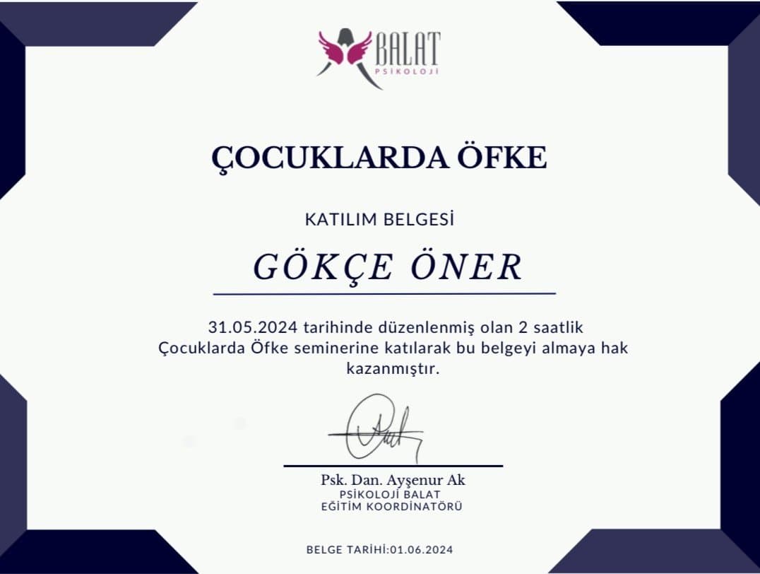 Gökçe Ö. — çalışma 3