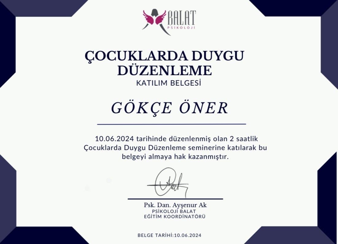 Gökçe Ö. — çalışma 4