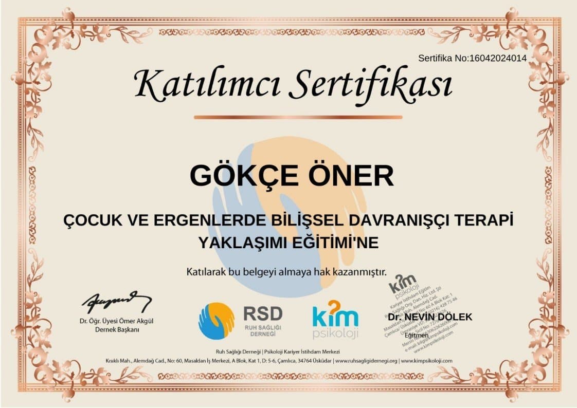 Gökçe Ö. — çalışma 6