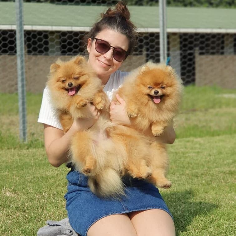 K9 S. — çalışma 1