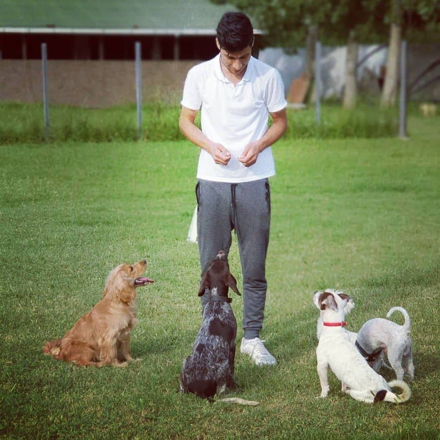 K9 S. — çalışma 6