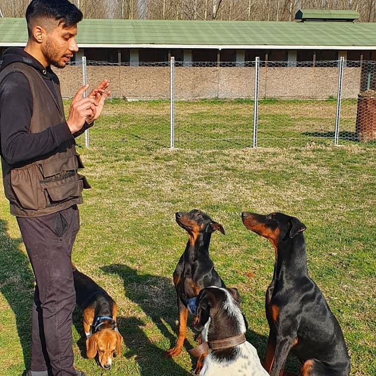 K9 S. — çalışma 7