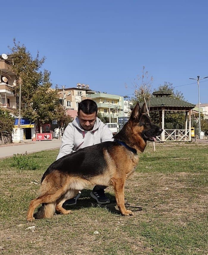Gökhan İ. — çalışma 1