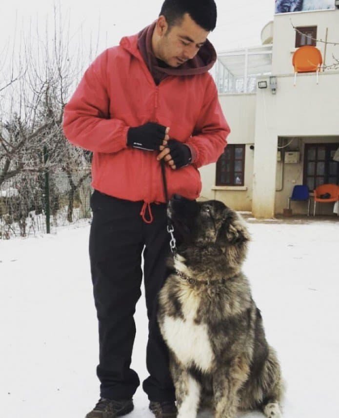 Gökhan İ. — çalışma 2