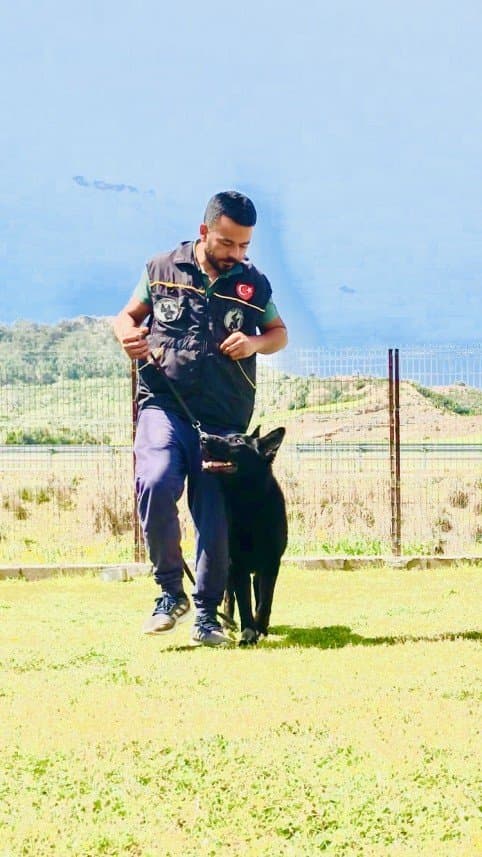 Gökhan İ. — çalışma 5