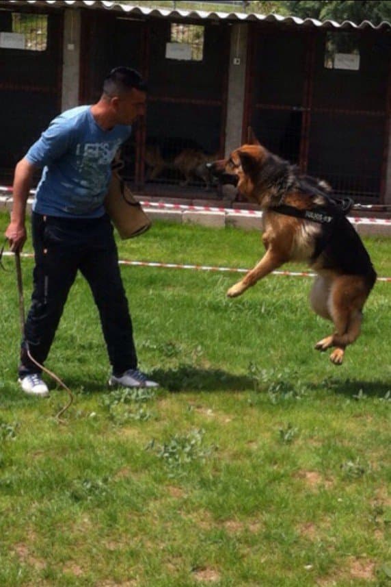 Gökhan İ. — çalışma 6