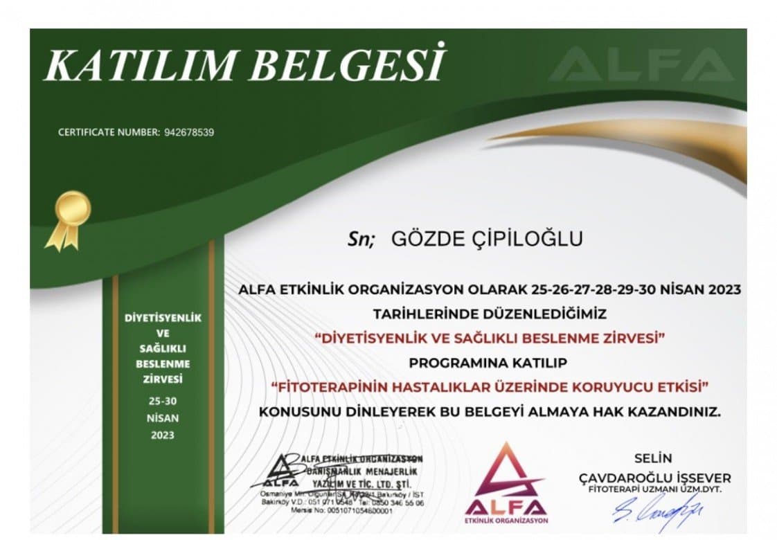 Gözde Ç. — çalışma 6