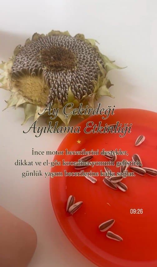 Gozel C. — çalışma 4