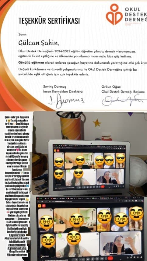 Gülcan Ş. — çalışma 4