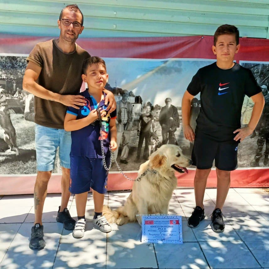 Gürcan D. — çalışma 6