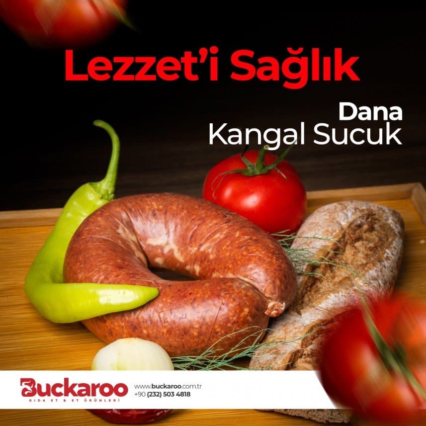 Halil V. — çalışma 5