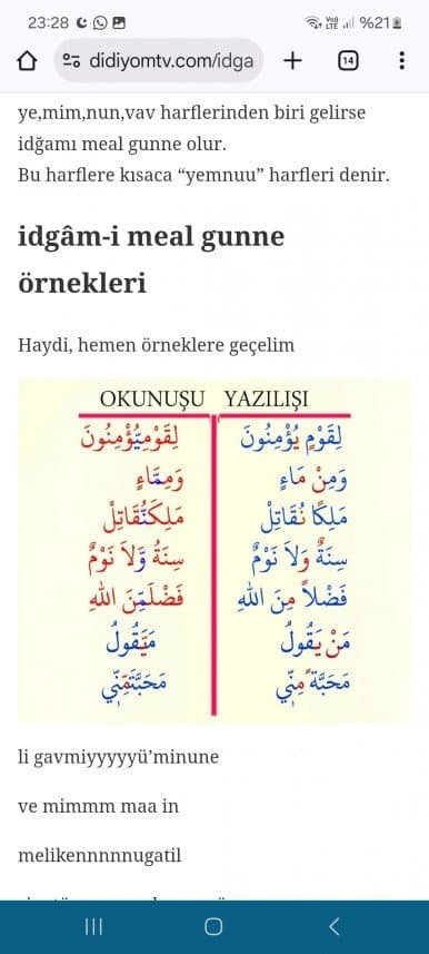 Halil O. — çalışma 2