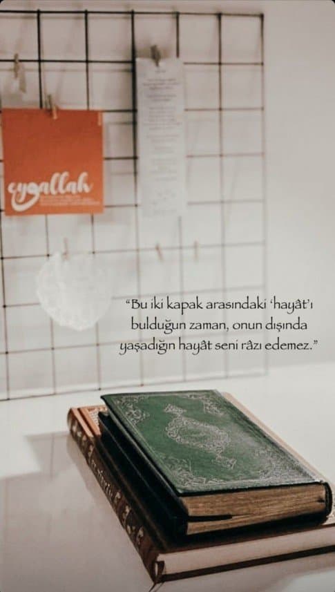 Halime Ş. — çalışma 5