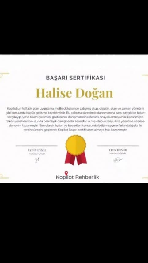 Halise D. — çalışma 1