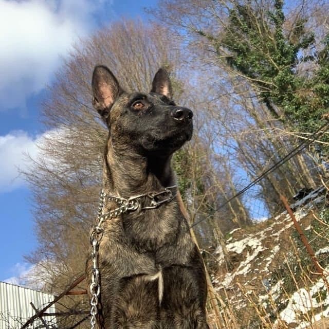 Haluk Y. — çalışma 7