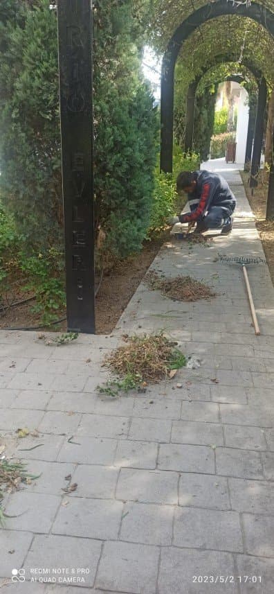 Hasan E. — çalışma 4