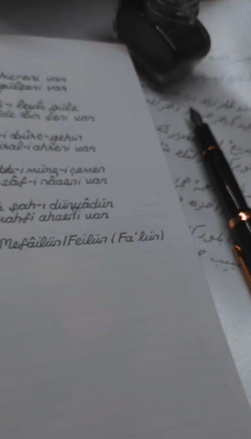 Hasan Ö. — çalışma 1