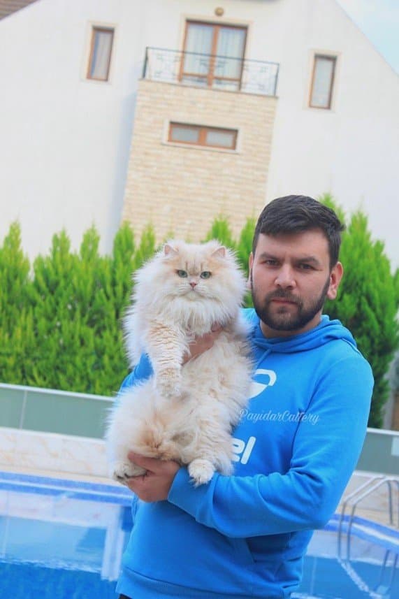 Hasan A. — çalışma 2