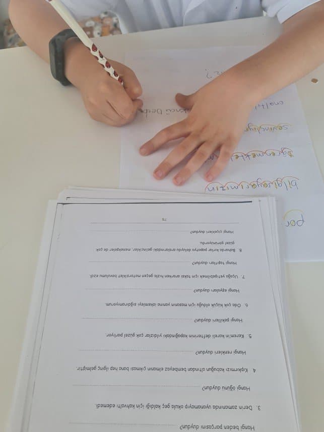 Hatice Ş. — çalışma 5
