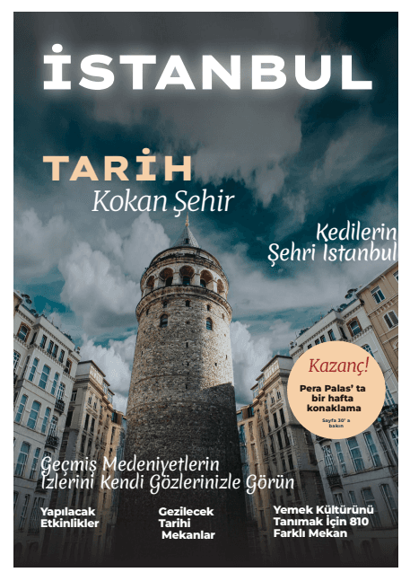 Hayme K. — çalışma 2