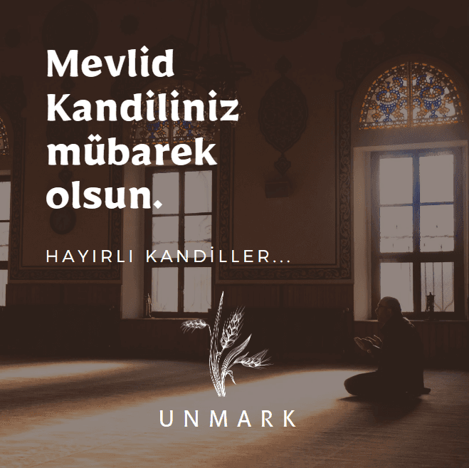Hazal V. — çalışma 4